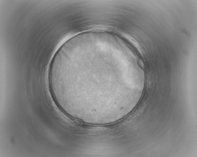 X0000116021475200912181139