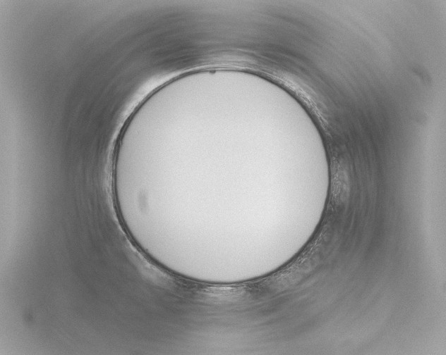 X0000116021478200912181139