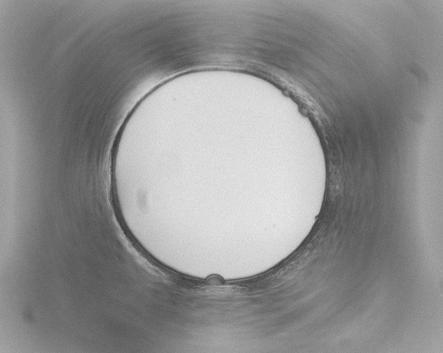 X0000116021479200912181139