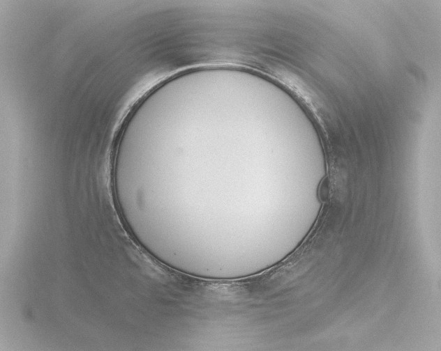 X0000116021480200912181139