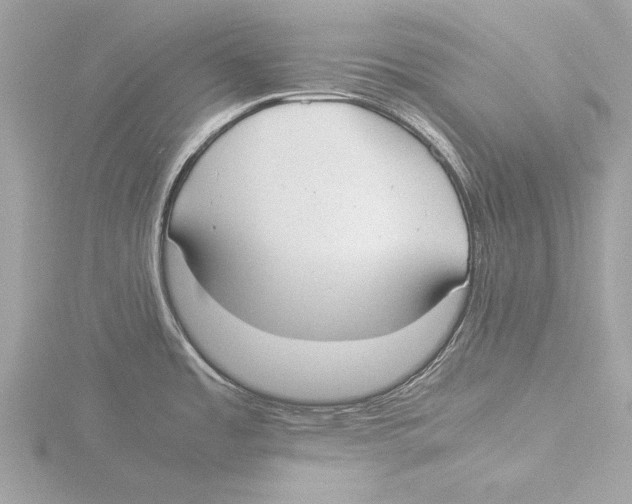 X0000116021485200912181139