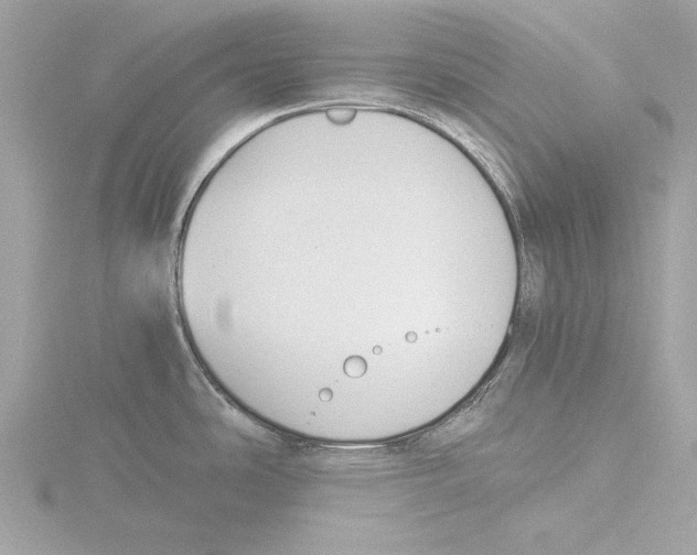 X0000116021486200912181139