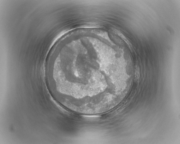 X0000116021487200912181139