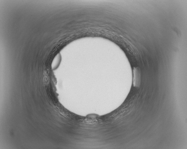 X0000116021491200912181138