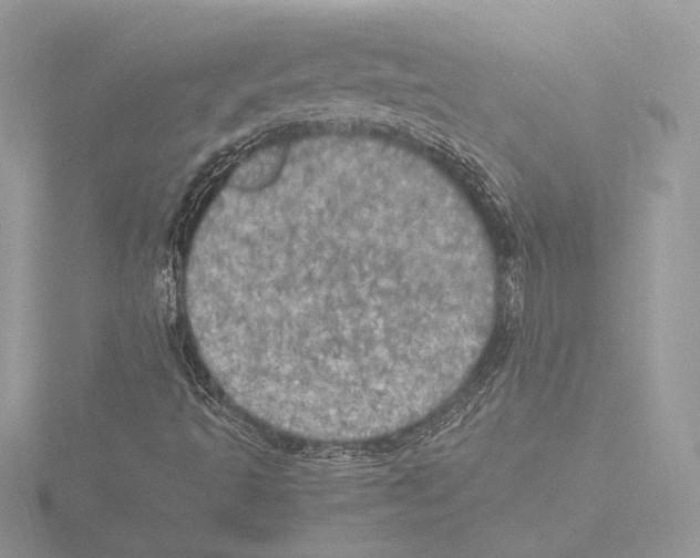 X0000116021493200912181138