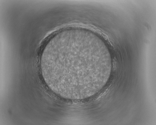 X0000116021494200912181138