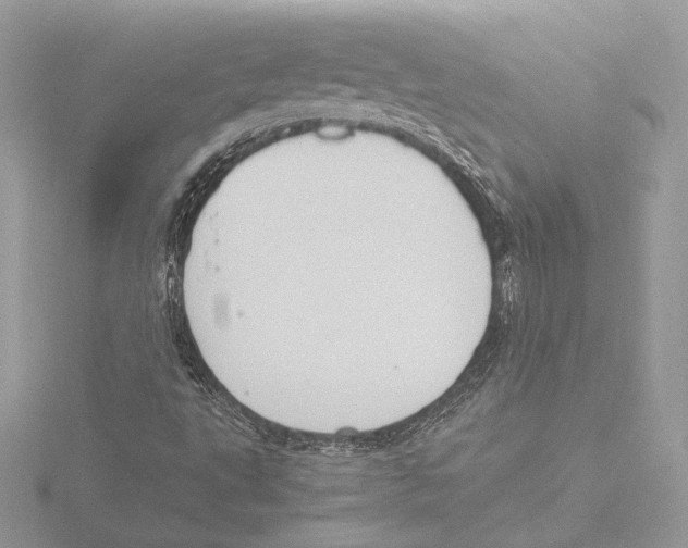 X0000116021495200912181138