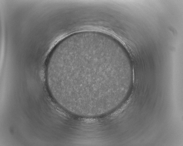 X0000116021501200912181138