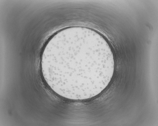 X0000116021507200912181138