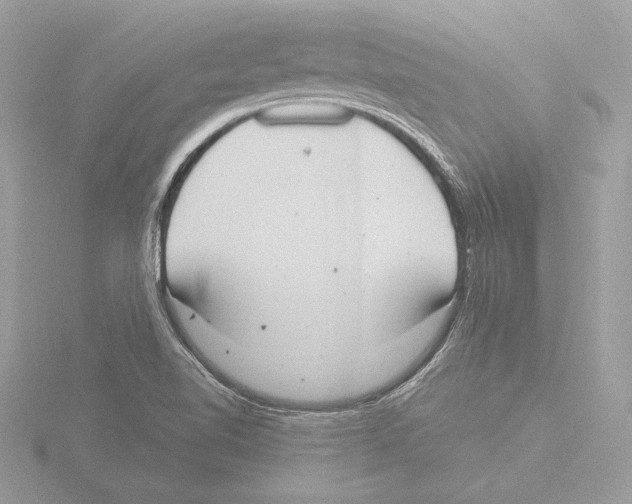 X0000116021510200912181138