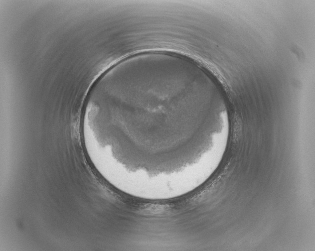 X0000116021513200912181138