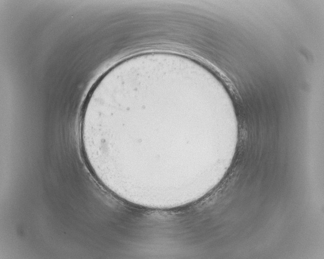 X0000116021514200912181138