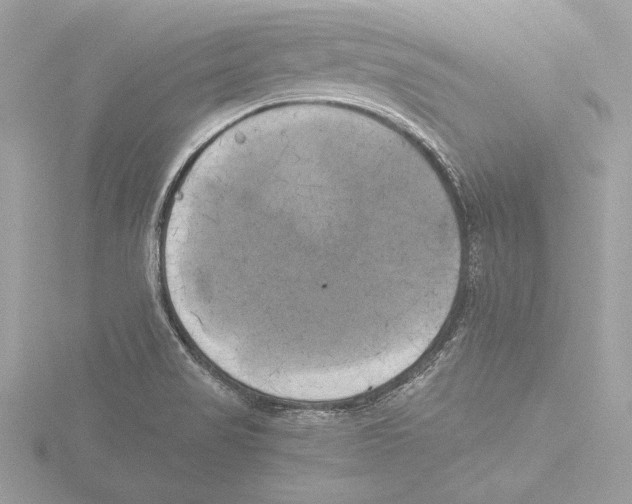 X0000116021517200912181138