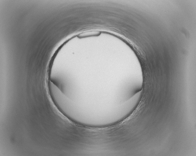 X0000116021518200912181138