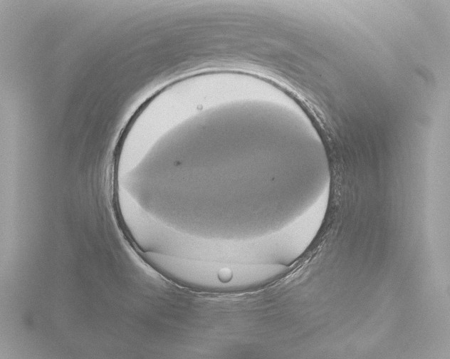 X0000116021519200912181138