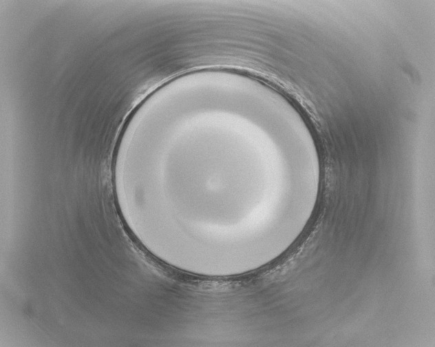 X0000116021521200912181138