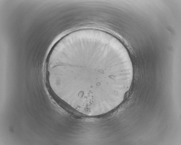 X0000116021522200912181138