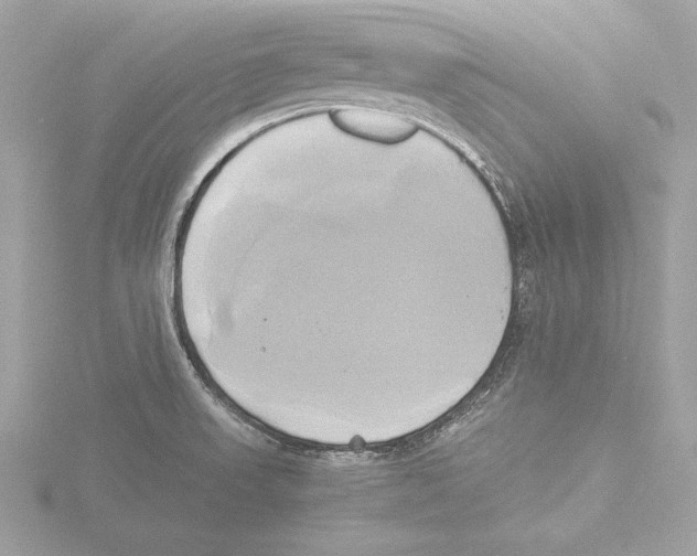 X0000116021523200912181138