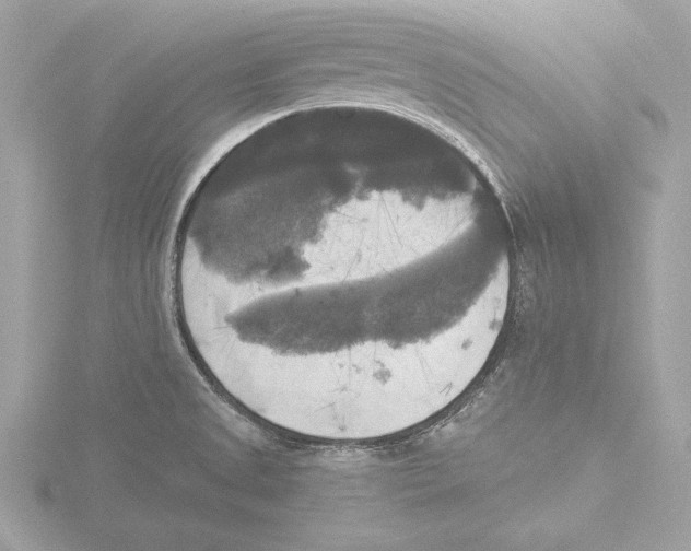 X0000116021525200912181138