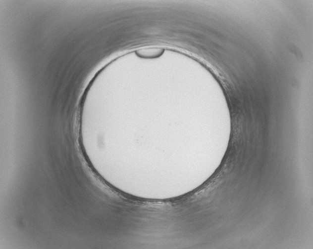 X0000116021526200912181138