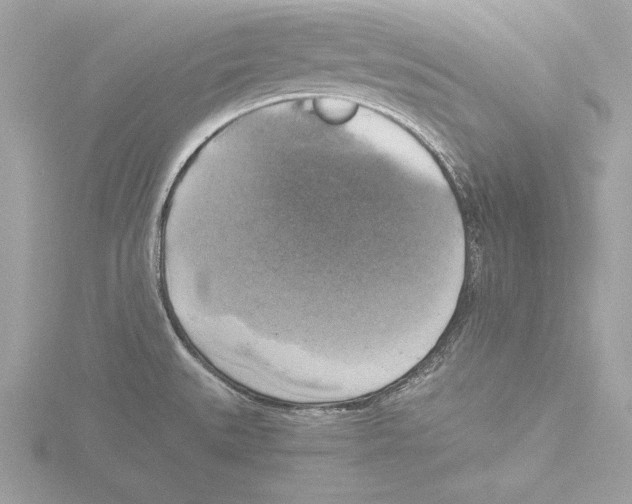 X0000116021527200912181138