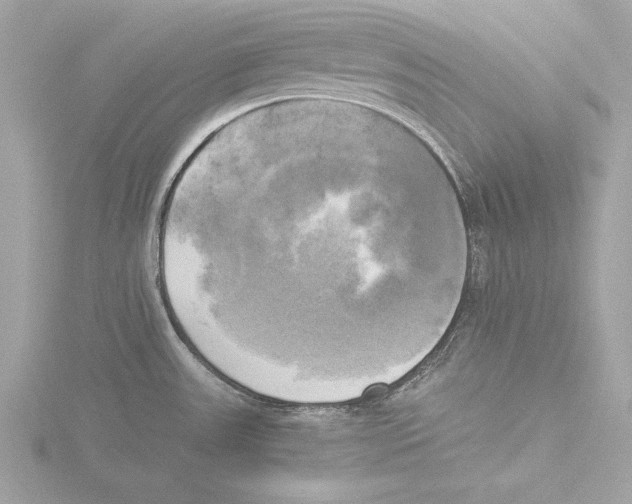 X0000116021531200912181139