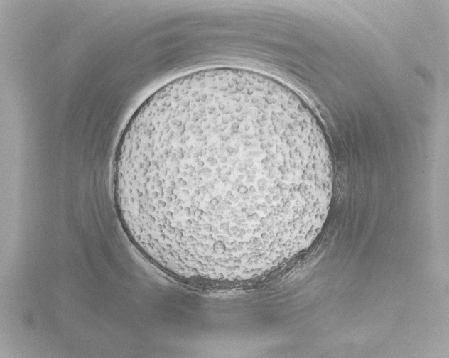 X0000116021535200912181139