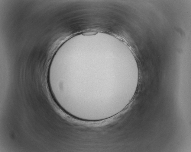 X0000116020001200912312202