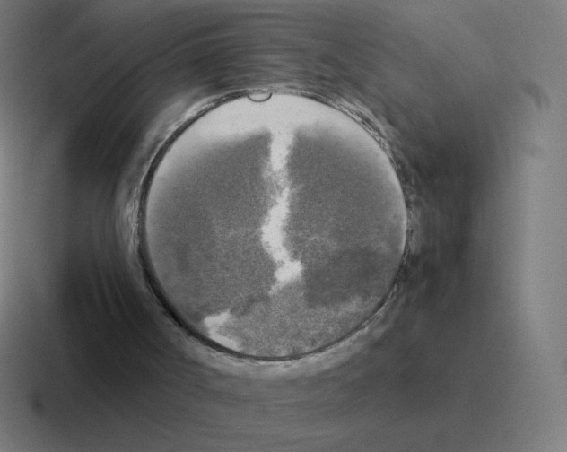 X0000116020002200912312202