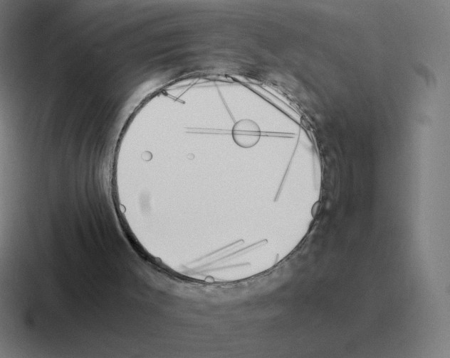 X0000116020003200912312202