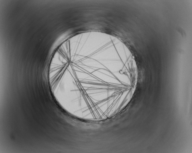 X0000116020004200912312202