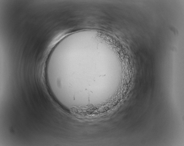 X0000116020005200912312202