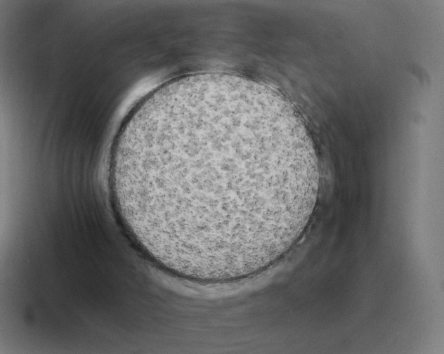 X0000116020006200912312202