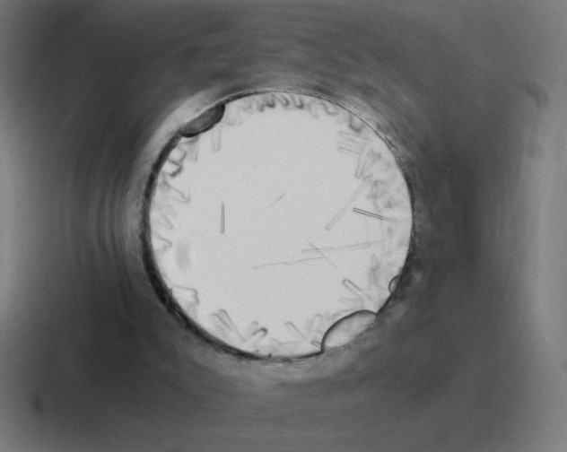 X0000116020007200912312202