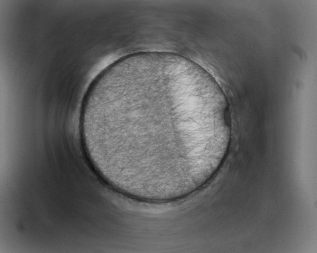 X0000116020008200912312202