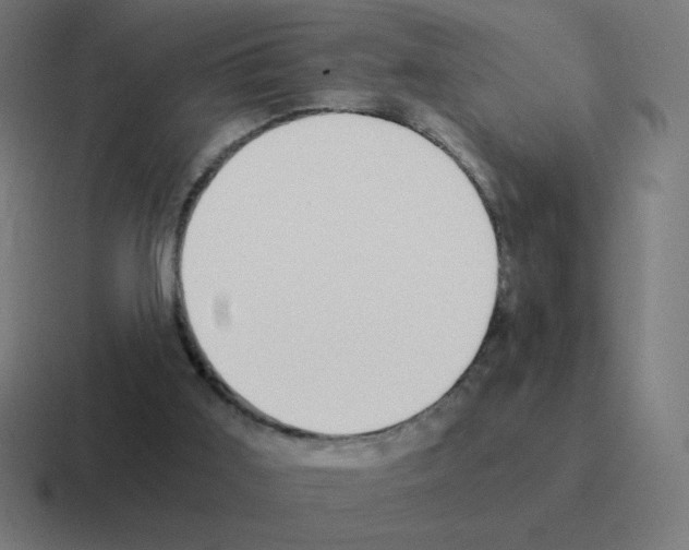 X0000116020011200912312202