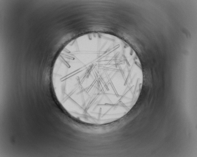 X0000116020015200912312202