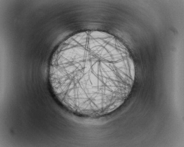 X0000116020016200912312202