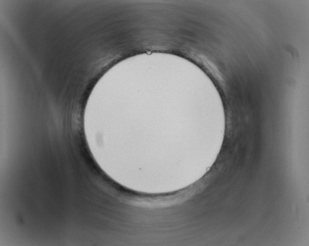 X0000116020017200912312202