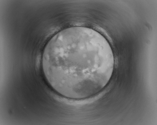 X0000116020018200912312202