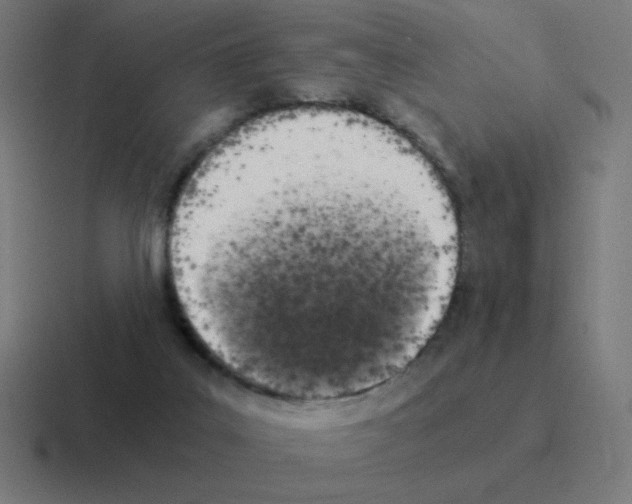 X0000116020019200912312202