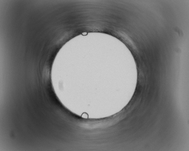 X0000116020021200912312202