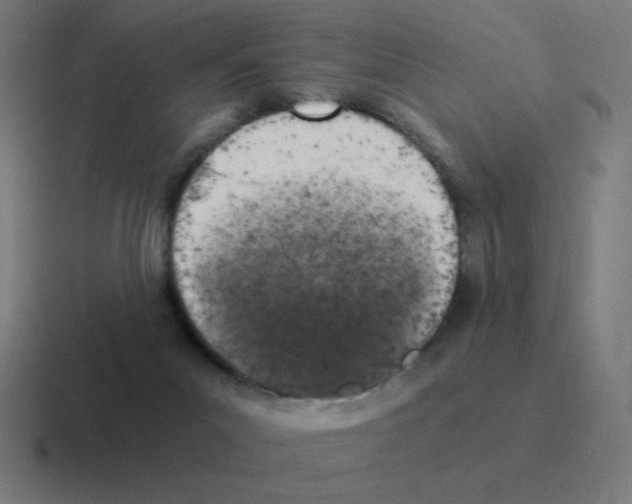 X0000116020023200912312202