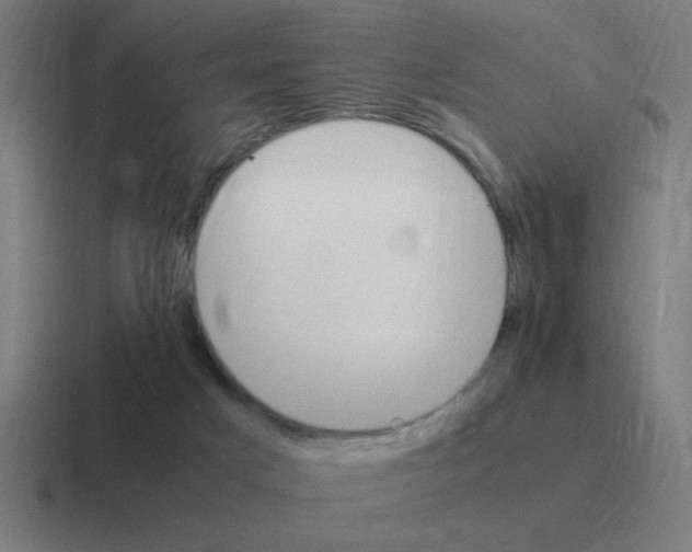 X0000116020025200912312202