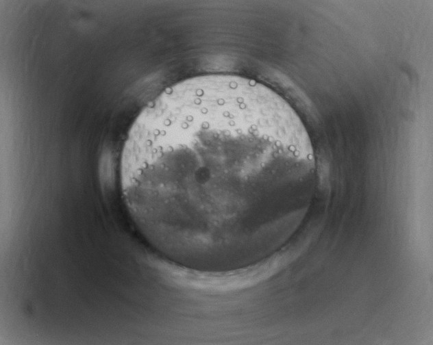 X0000116020026200912312201