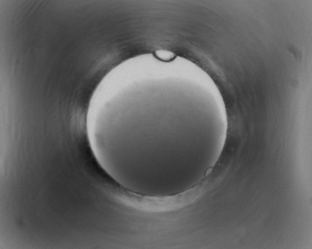 X0000116020027200912312201