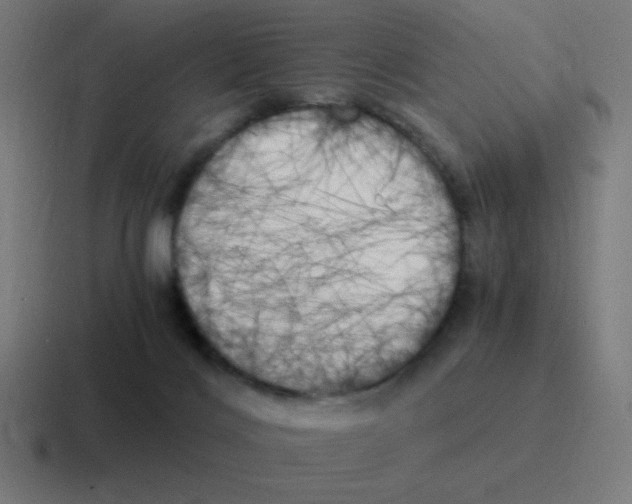 X0000116020028200912312201