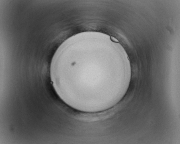 X0000116020029200912312201