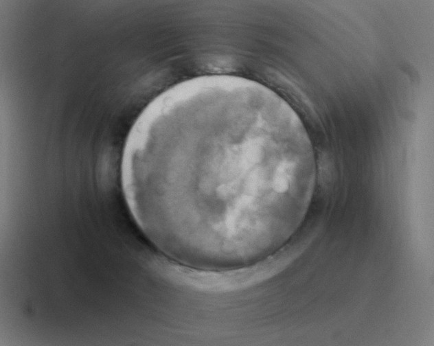 X0000116020030200912312201