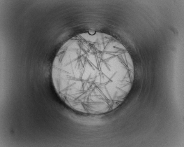 X0000116020032200912312201